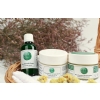 SHRUB IMMORTELLE  SET-2